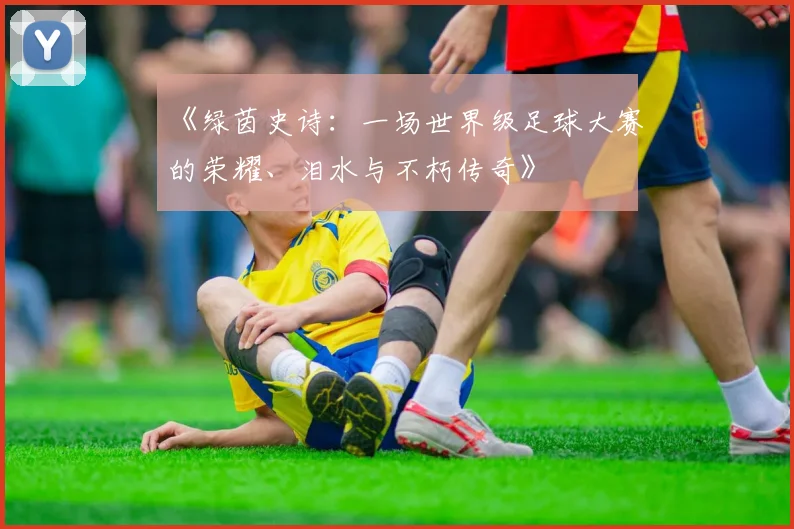 《绿茵史诗：一场世界级足球大赛的荣耀、泪水与不朽传奇》
